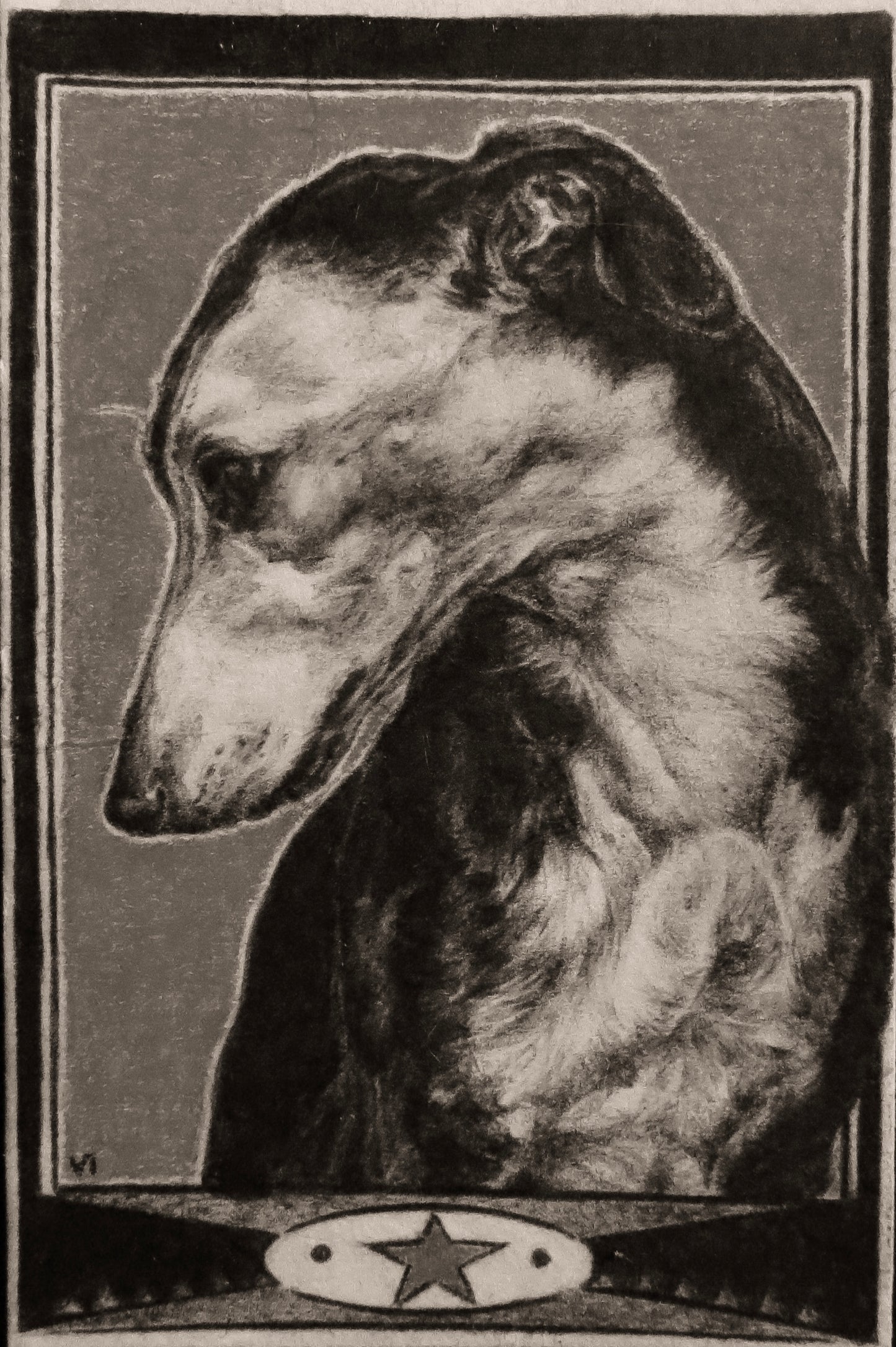 Greyhound print