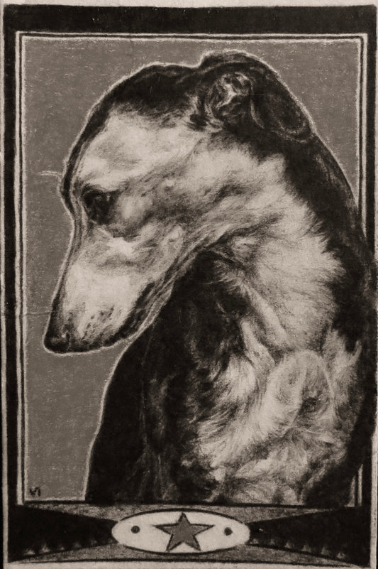 Greyhound print