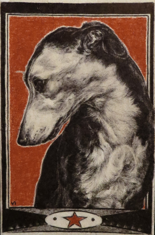 Greyhound print