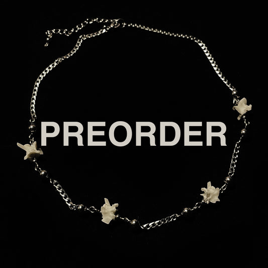 **PREORDER** Stainless Chain Necklace